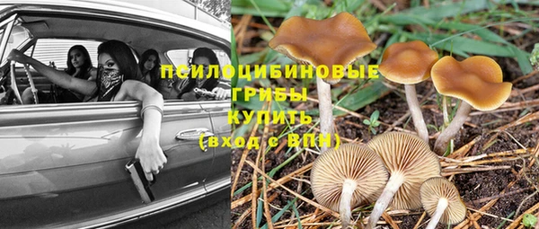 прущий лед Богородск