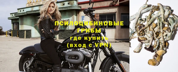 стафф Богородицк