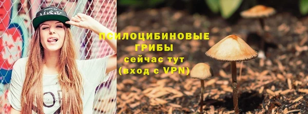 прущий лед Богородск